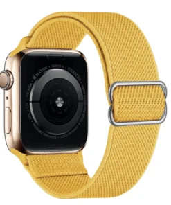 Correa Apple watch Ginger Color